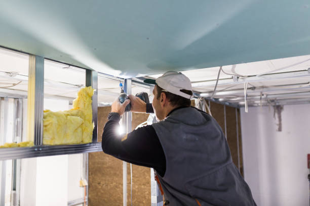 Best Attic Insulation Installation  in Shamokin Dam, PA