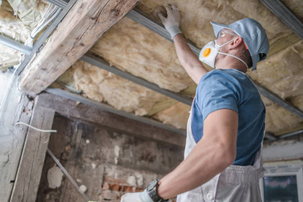 Best Insulation Replacement Services  in Shamokin Dam, PA