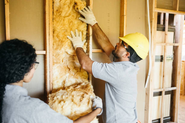 Best Fiberglass Insulation  in Shamokin Dam, PA